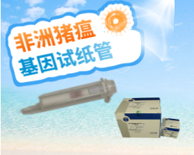 非瘟基因檢測(cè)新產(chǎn)品