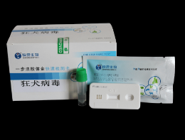 狂犬病毒檢測(cè)試紙條